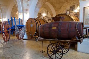 Manduria Wine Museum