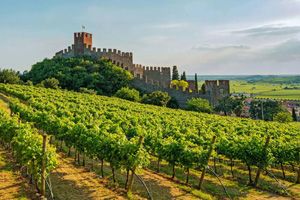 Wineries  Pianura Padana